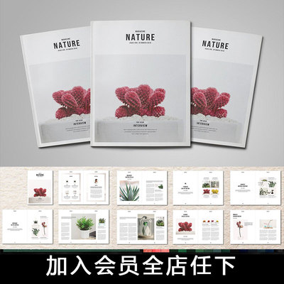 Indesign模板A4 32页日系个人产品VI品牌设计手册画册杂志ID素材