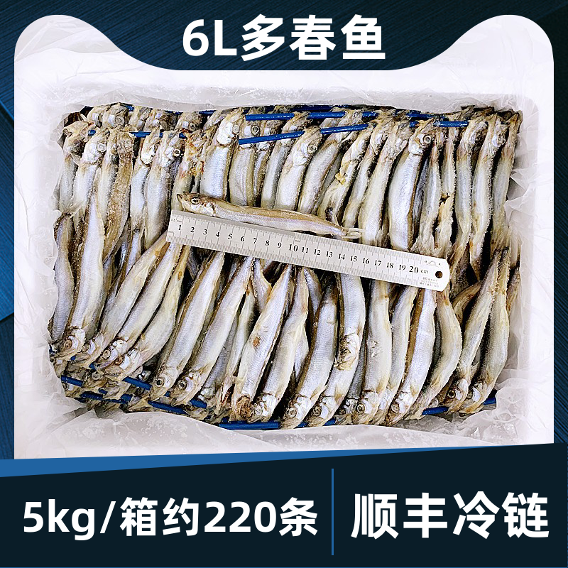 6L多春鱼5kg整箱带籽烧烤食材