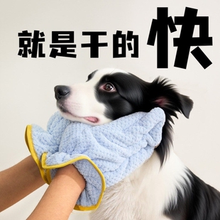 狗狗专用进门擦脚神器毛巾手套洗脚布洗澡吸水擦身体边牧浴巾擦干