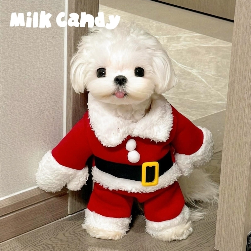 狗狗圣诞老人衣服小型犬宠物圣诞节变装冬装猫咪可爱服装冬季