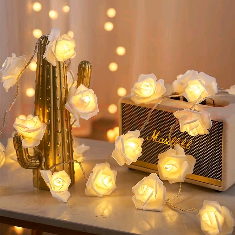 520玫瑰LED暖白色灯生日派对彩星星挂灯串浪漫装饰品布置窗帘灯