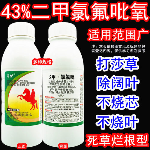 阔侠43%2甲氯氟吡水稻草坪除草剂