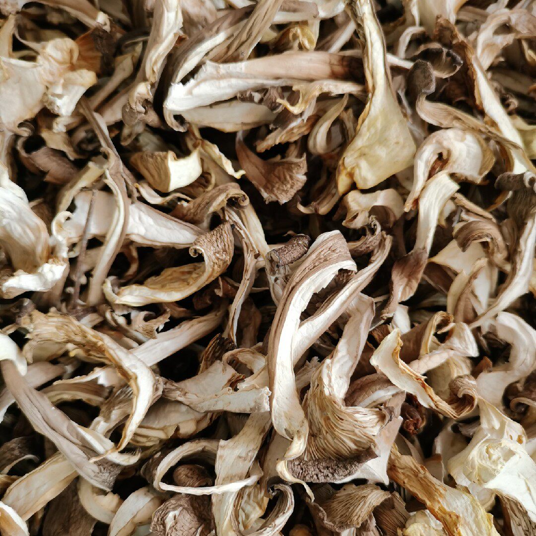 干平菇撕条干货500g一斤凤尾蘑菇丝晾干手工黑龙江食用农产品