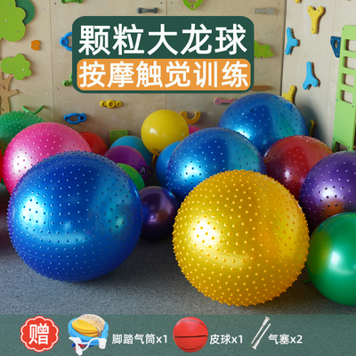 早教感统按摩大龙球儿童前庭教具平衡板训练器材颗粒瑜伽家用玩具