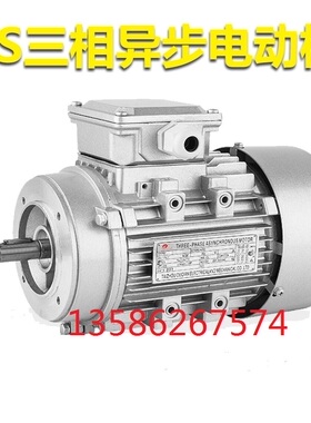 YS8022 1.1KW-2级三相异步电动机铝壳电机铜线国标380V19轴