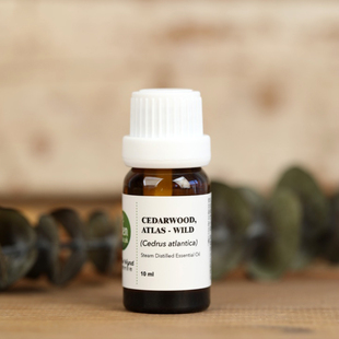 美国eden野生大西洋雪松10ml单方精油调节情绪调香修身 保养肌肤