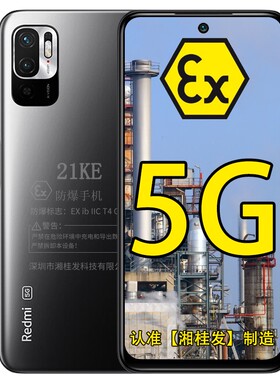 小米红米Redmi Note 10 全网通5G防爆智能手机 化工厂天然气矿用本安型防爆手机 防爆定制版（带防爆证书）