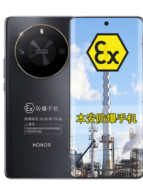 荣耀X50 GT 5G骁龙8+芯片 5800mAh超大电池 定制防爆手机 化工厂医药EX工业天然气石油库专用 （带证书）