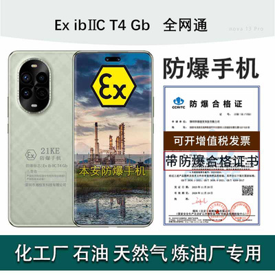 企业认证防爆定制版(带证书)