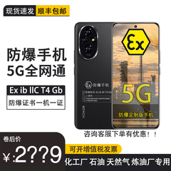 荣耀200 5G智能5300mAh100W 定制版防爆手机NFC化工厂石油库天然气工业医药专用工业巡检加油站石油EX 带证书