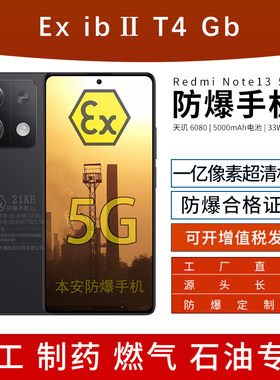 小米Redmi Note 13 5G手机 1亿像素 5000mAh大电量定制防爆手机 工业医药化工厂EX专用 防爆定制版（带证书）