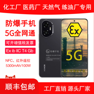 超薄小直屏 防爆定制版 5300mA大电池 化工厂医药EX本安工业石化油库天然气行业专用 带证书 定制版 荣耀300