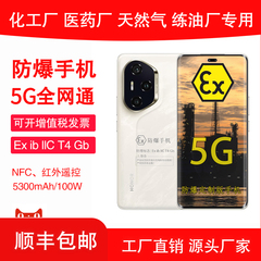 荣耀300Pro电池5500mAh快充100W6.7英寸5G本安防爆防爆手机 EX化工厂天然气石油库专用 防爆本安定制合格证书