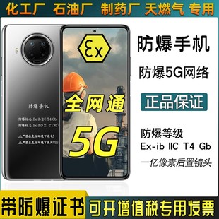 11Pro Note 石油库天然气工业医药专用5G全网通工业巡检加油站石油支持NFC 小米本安防爆智能手机化工厂红米