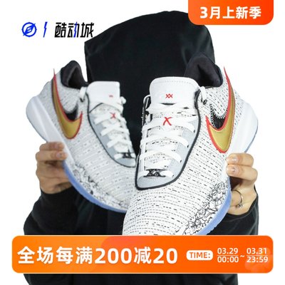 NIKE詹姆斯20男子篮球鞋