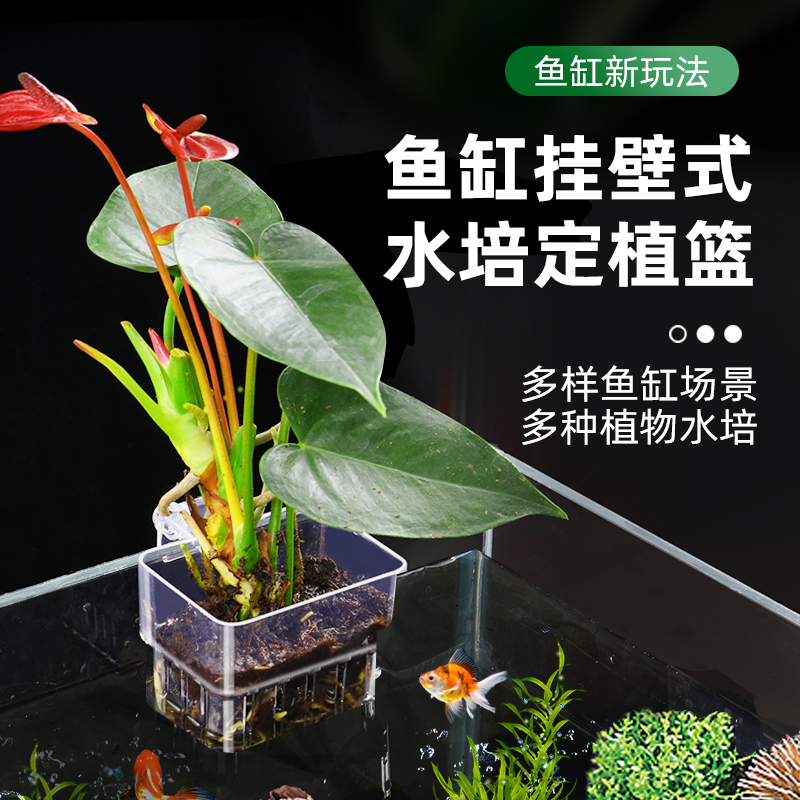 鱼缸水草杯盆悬挂草缸造景盆亚克力大号定植杯吸盘挂钩种植器透气