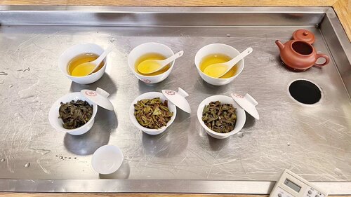 黑掌柜 荒野白叶单丛 有机金单丛饼干茶 蜜韵 耐泡回甘有力