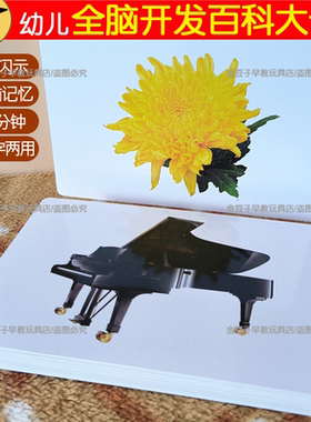 百科动物果蔬闪卡全脑开发早教卡
