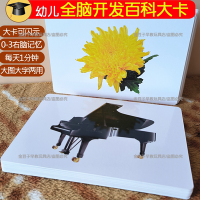 百科动物果蔬闪卡全脑开发早教卡
