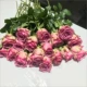 Purple Rose 8 филиалов + 2 ветви (предотвращение потери) Послайте свежий консервант