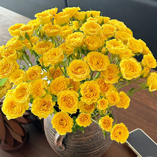 梦幻芭比多头小玫瑰泡泡云南直发鲜花花束速递同城橙色芭比情人节