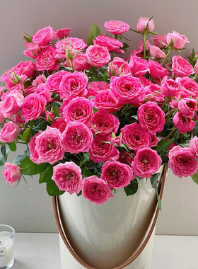 苏菲宝贝多头小玫瑰泡泡云南直发鲜花花束速递同城橙色芭比情人节