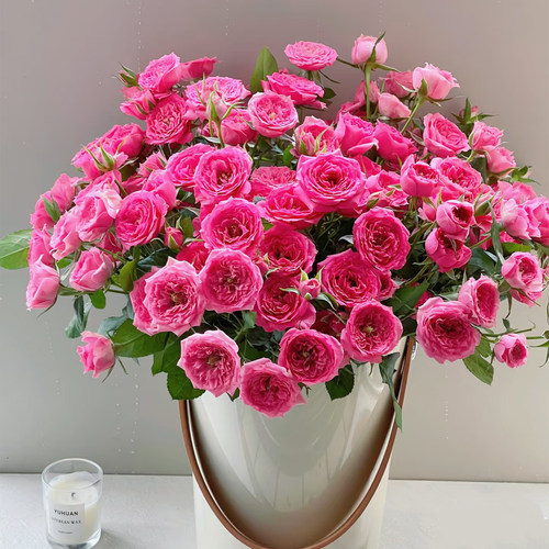 苏菲宝贝多头小玫瑰泡泡云南直发鲜花花束速递同城橙色芭比情人节