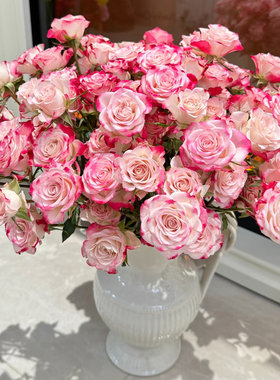 多头小玫瑰泡泡云南直发鲜花花束速递同城橙色芭比家用教师节礼物