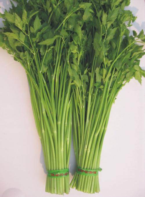 新鲜现摘水芹菜实拍农家自种野生嫩水芹菜河芹菜坏包赔去根空心芹