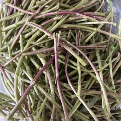 实拍南京特产野生红芦蒿净菜免摘藜蒿黎蒿新鲜野菜蒿子包嫩净蔬菜