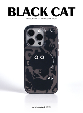iosco 原创设计【黑色猫咪】透黑保护壳 双层印花 磨砂质感 适用于苹果 16 15 14 pro max 手机壳