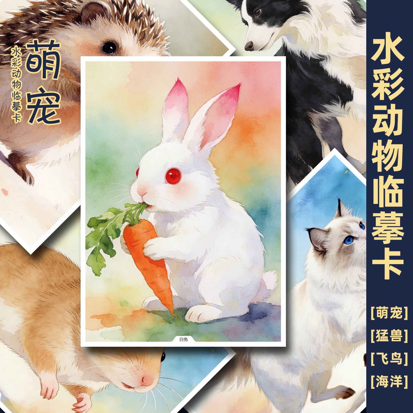 原创少儿成人美术绘画水彩动物水果临摹卡初级中级创意唯美高清A5