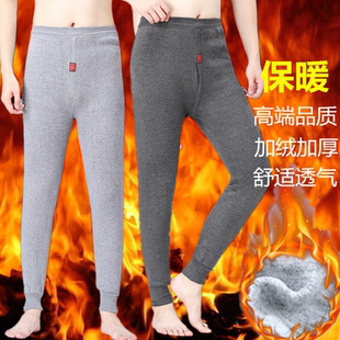 秋裤男士保暖裤加绒裤棉裤毛裤中厚打底内裤衬裤线裤薄款春秋潮流