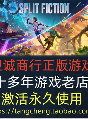 STEAM正版PC游戏 双影奇境 Split Fiction 香港区/国区/全球区