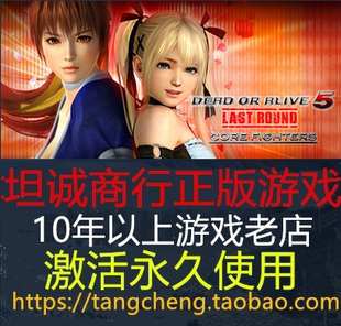 死或生5 PC正版STEAM DEAD OR ALIVE 5 Last Round Core Fighters