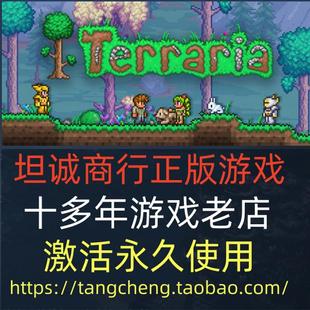 STEAM PC正版游戏 Terraria 泰拉瑞亚 多人联机 国区礼物 现货