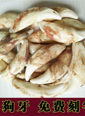 牙齿挂件随身饰品吊坠