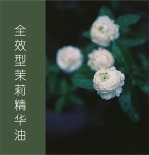 多规格 珍惜植物油基底 全效型养肤茉莉精华油 天然茉莉净油调和