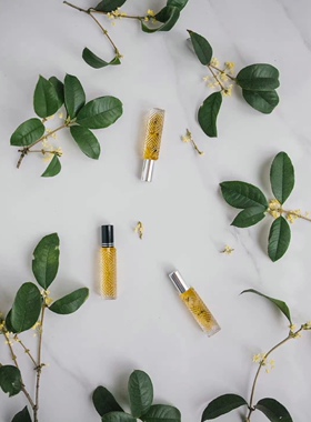 仿佛家里有一棵桂花树 来自秋天的味道 自然桂花气息淡香水12ml