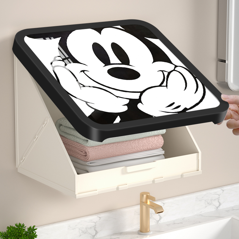 壁画收纳箱浴室洗澡放衣服