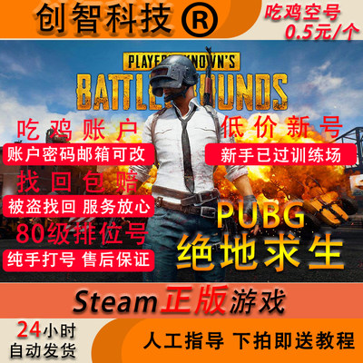 steam绝地求生吃鸡白号pubg匹配