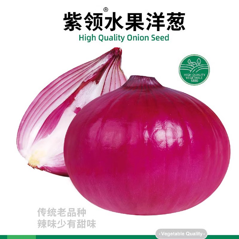 水果洋葱种籽种子四季秧苗葱种红皮紫皮圆葱扁圆蔬菜孑种植苗秋播