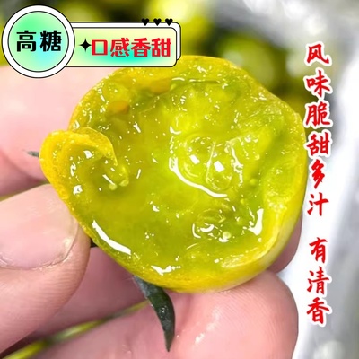 寿光梦想青甜2号小番茄苗圣女果