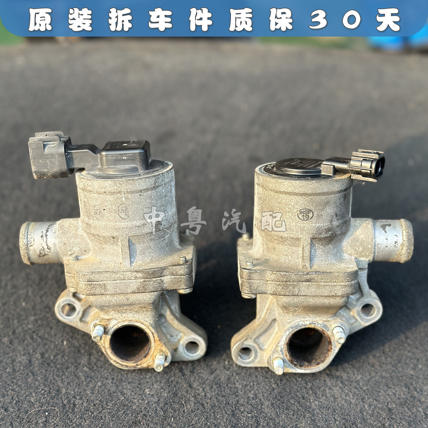 力狮翼豹森林人废气循环阀