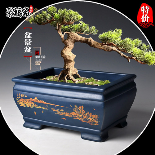 假山造景小叶紫檀菖蒲清仓花盆
