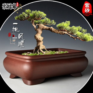 宜兴紫砂盆景盆 马槽长方形假山造景盆小叶紫檀菖蒲盆景花盆清仓