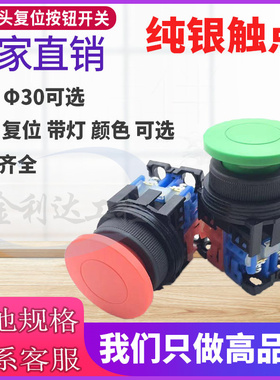 AR22MOR AR30MOR AR22MOL灯30 AR22M5R 11 01G 10Y蘑菇头按钮开关