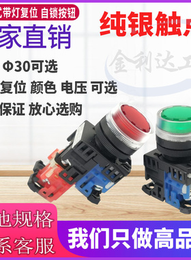 AR22G4L AR22G9L  AR30G4L 11 10 01 R G自锁 Y复位 带灯按钮开关