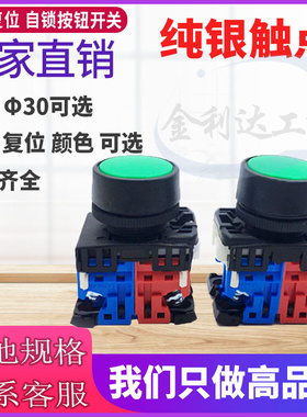 AR30F0R AR22FOR 11 20 01 10 R G Y B W 复位 自锁 平头按钮开关