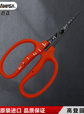 日本原装进口葡萄剪近正大嘴鸟B500花剪稀果剪葡萄摘粒剪采摘剪